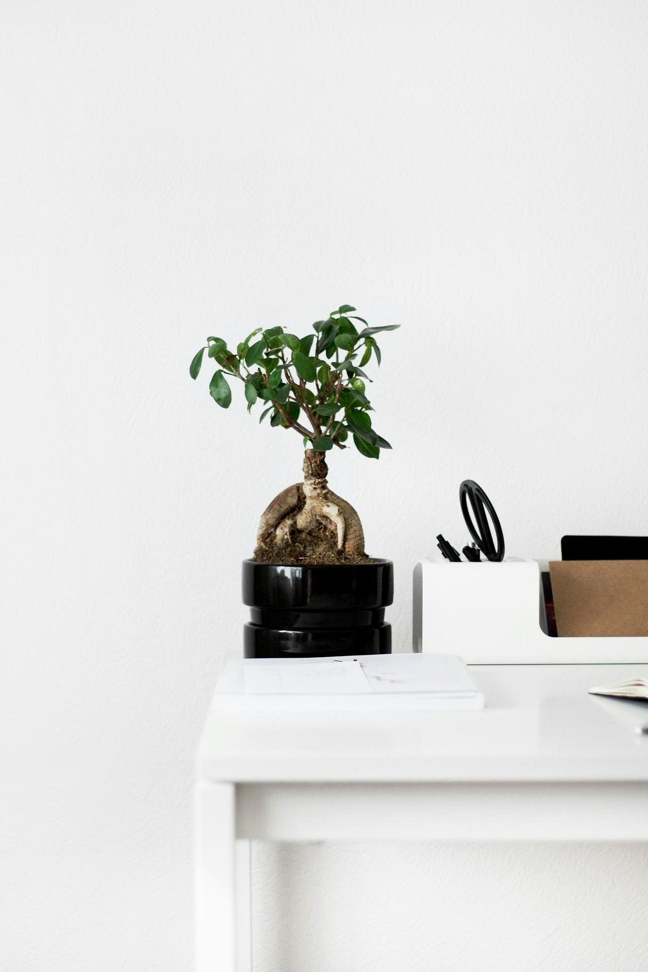 About booksstorestudio
